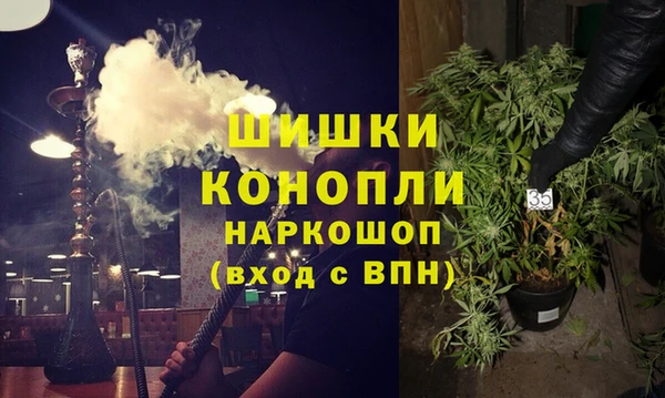 СК Протвино