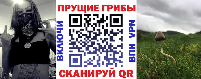 Псилоцибиновые грибы Magic Shrooms  наркотики  Спас-Клепики 